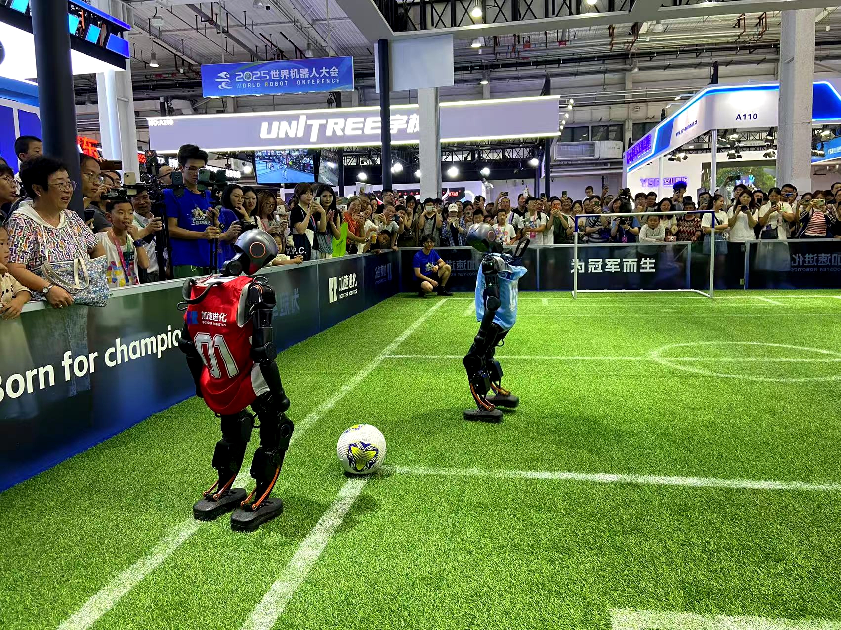 这说明中国, 扶持 这说明中国, 扶持